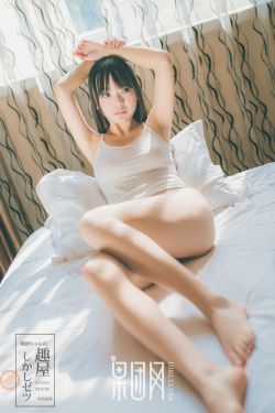 小说少女的心